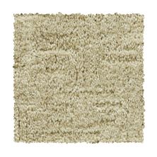 Mohawk Everstrand Antique Comfort Truffle 2V40-809