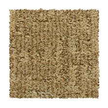 Mohawk Everstrand Antique Comfort Fresh Earth 2V40-862