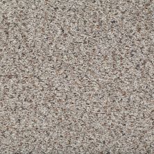 Mohawk Smartstrand Stylish Terrain I Eclipse 2W27-501