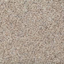 Mohawk Smartstrand Stylish Terrain I Ancestral Haze 2W27-502