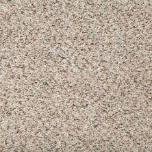Mohawk Smartstrand Stylish Terrain I Alpine Lace 2W27-503