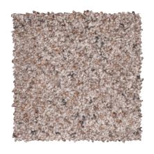 Mohawk Smartstrand Stylish Terrain I Gentle Doe 2W27-507