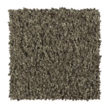 Mohawk Smartstrand Design Elements I Sparrow 2W37-505