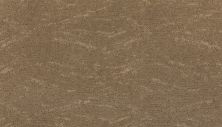 Karastan Smartstrand Silk Modern Nature Native Soil 2W80-9832