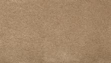 Mohawk Dahlia Harbor Stonington Beige 2W96-540