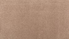 Mohawk Smartstrand Classical Design I Desert Mud 2X56-848