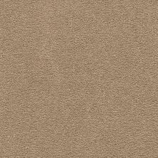 Mohawk Smartstrand Classical Design I Spiced Tea 2X56-864