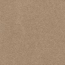 Mohawk Smartstrand Classical Design II Spiced Tea 2X57-864