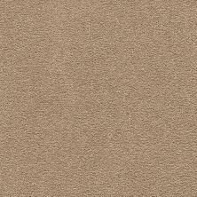 Mohawk Smartstrand Classical Design III Spiced Tea 2X58-864