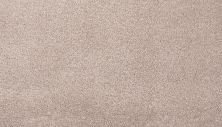 Mohawk Smartstrand Silk Pleasant Touch Artisan Hue 2X91-507