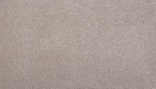 Mohawk Smartstrand Silk Pleasant Touch Faint Maple 2X91-516