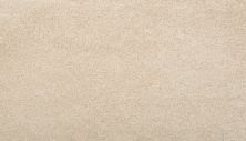 Mohawk Smartstrand Silk Pleasant Touch Frosted Almond 2X91-519