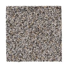 Mohawk Smartstrand Charming Qualities Ravine 2Y91-503