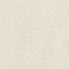 Mohawk Smartstrand Eloquent Color Winter Wind 2Z04-568