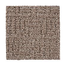 Mohawk Everstrand Bountiful Beauty Desert Accents 2Z63-861