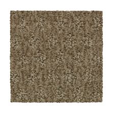 Mohawk Everstrand Bountiful Elegance Desert Accents 2Z78-861