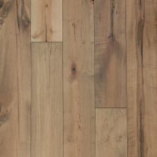 Portico Belleluxe Villa Downs 7.5″ Burnished 32635-4