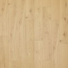 Portico Ultrawood Guilford Oaks Azalea Oak 32656-3