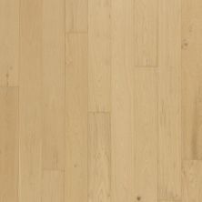 Portico Tecwood Harbourlin Sand Dollar Oak 32674-2