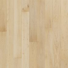 Portico Tecwood Harbourlin Conch Oak 32674-5