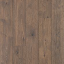 Portico Revwood Plus Elegant Craft Bungalow Oak 33543-2