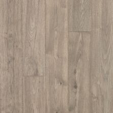 Portico Revwood Plus Elegant Craft Asher Gray Oak 33543-3