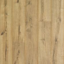 Portico Revwood Plus Castlefield Cavalry Oak 33577-02