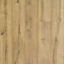 Portico Revwood Plus Castlefield Cavalry Oak 33577-2