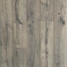 Portico Revwood Plus Castlefield Lunar Oak 33577-3