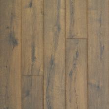 Portico Revwood Plus Castlefield Antiquities Oak 33577-5