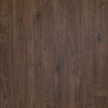 Portico Revwood Plus Casita Court Mason Ridge Oak 33605-4