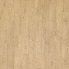 Portico Revwood Plus Western Point Mountain Lake Oak 33606-5