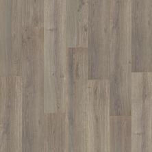 Portico Revwood Premier Port City Balboa Oak 33608-4