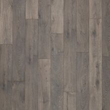 Portico Elements Originals Accedence Aster 37001-2