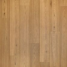 Portico Elements Ultra Wyckford Cargo Canvas Hickory 37007-3