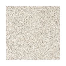 Mohawk Smartstrand Noteworthy Selection Harmonious 3A04-525