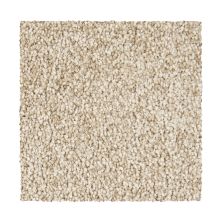 Mohawk Smartstrand Noteworthy Selection Canyon Shade 3A04-550