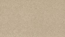 Mohawk Smartstrand Striking Option Balsam Beige 3A05-526