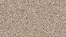 Mohawk Smartstrand Inviting Charisma Montego 3A11-548