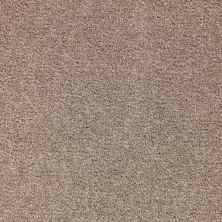 Mohawk Smartstrand Appealing Glamor Heathery Tint 3A13-534