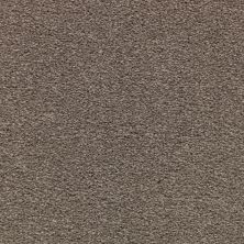 Mohawk Smartstrand Appealing Glamor Grandeur 3A13-545