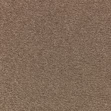 Mohawk Smartstrand Appealing Glamor Melody 3A13-547
