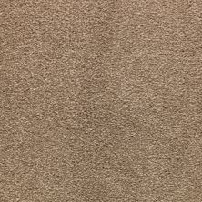 Mohawk Smartstrand Appealing Glamor Montego 3A13-548