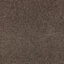 Mohawk Smartstrand Appealing Glamor Weathered Plank 3A13-558