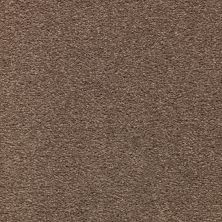 Mohawk Smartstrand Appealing Glamor Tudor 3A13-559