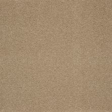 Mohawk Smartstrand Captivating Style Canyon Shade 3A14-550