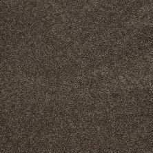Mohawk Smartstrand Captivating Style Weathered Plank 3A14-558