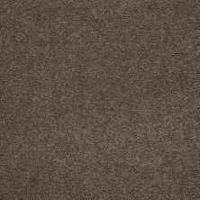 Mohawk Smartstrand Captivating Style Tudor 3A14-559