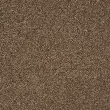 Mohawk Smartstrand Captivating Style Nouveau 3A14-561