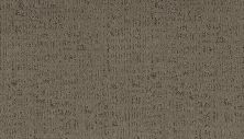 Mohawk Smartstrand Silk Luxurious Model Mirror Image 3B08-509